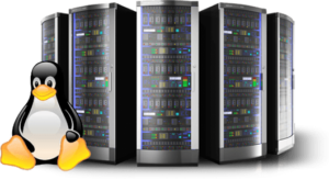 linux-shared-hosting-india